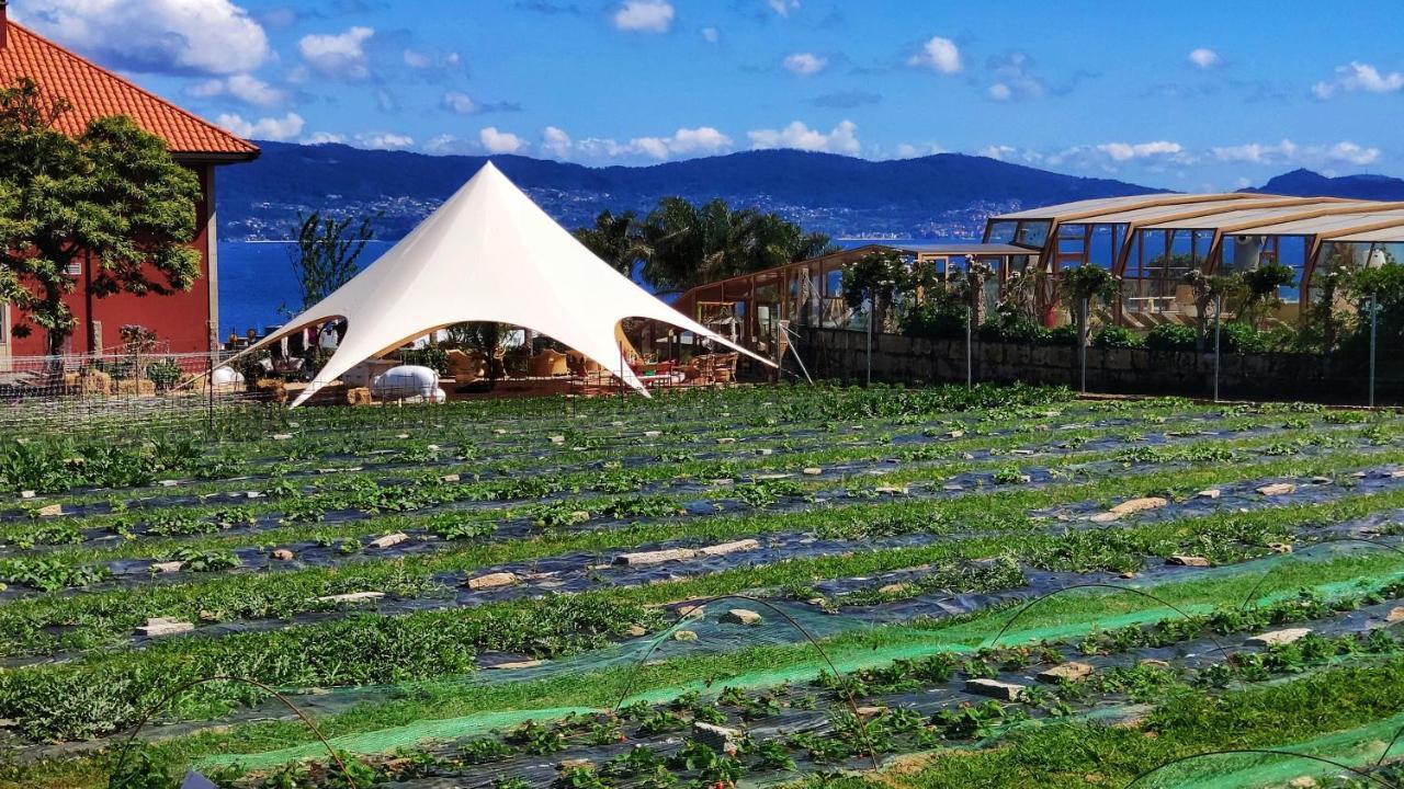 Augusta Eco Wellness 4 Superior 4*